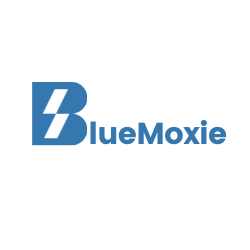 digital marketing agency kent, blue moxie