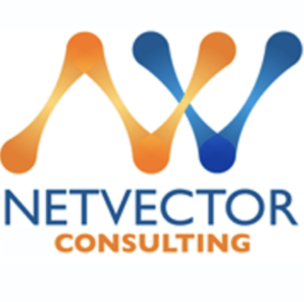 Netvector consulting logo